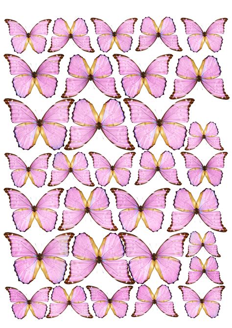 a group of pink butterflies with gold trims on their wings, all facing ...