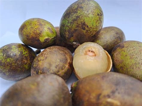 asam lambung buah matoa bisa menjadi solusi
