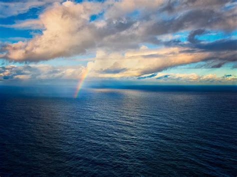 pacific blue glenn mckimmin