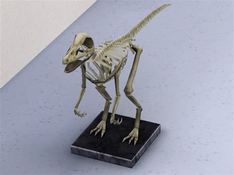 Simming in Magnificent Style: Eoraptor skeleton