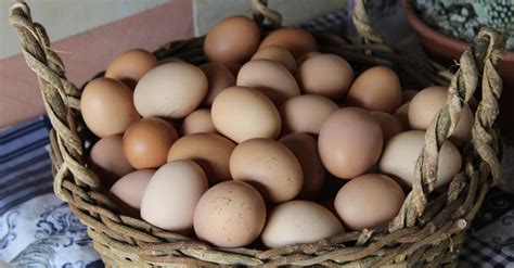 Are Eggs Bad For You? | PS Fitness