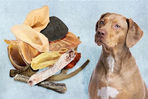 natural dog chews  benefits  risks
