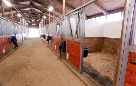 Flooring in Horse Stables | Stable Management