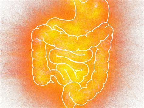 Top Irritable Bowel Syndrome Diet Plans for Relief | SELF