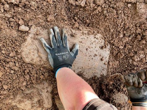 Fragments of Quern Stone — Border Archaeology