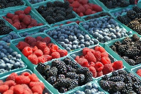 11 Healthy Berry Recipes to Make This Summer