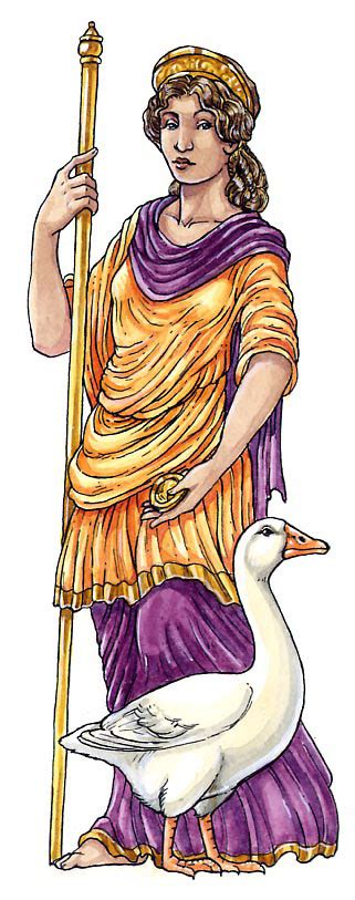 roman gods  behance