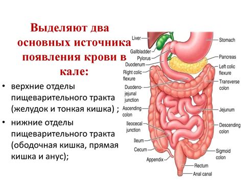 Кровь в стуле у ребенка. Дифференциальная диагностика - презентация онлайн