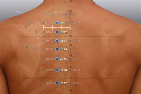Pin su Acupuncture