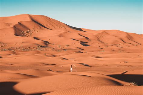 curiozitati despre desert
