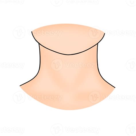 neck human body part cartoon illustration | Parties du corps humain ...