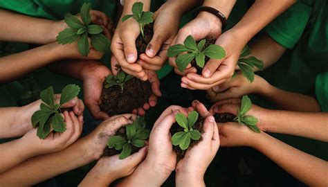 Por Que É Importante Cuidar Da Natureza - Como cuidar da Natureza - Ecoplan Sacos para Lixo