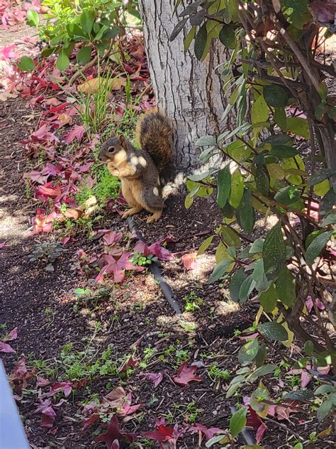 Oyster facts> nudes from only fans girls self promoting: most oysters