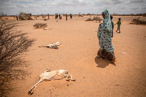 Drought Is Pushing Somalia Toward Catastrophic Famine | TIME