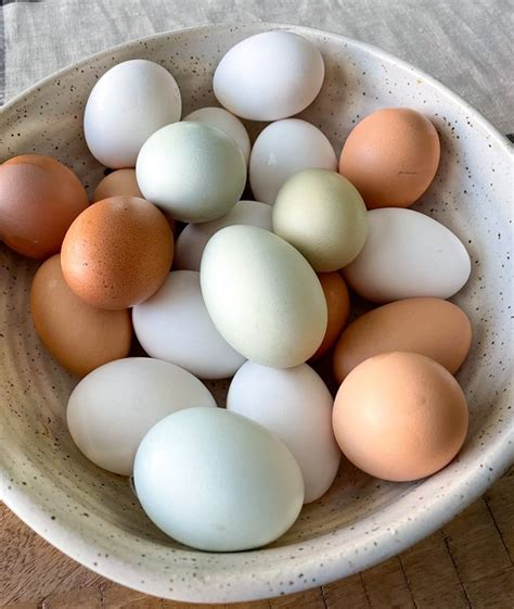 Pasture Raised Eggs: Everything You Need to Know