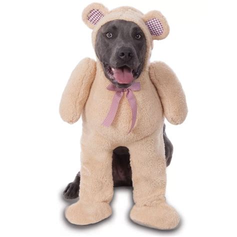 costumes for 3 dogs 3