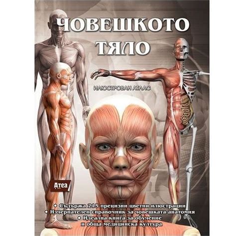 Човешкото тяло.Илюстрован атлас - Книжарница ВЕСЕЛАН