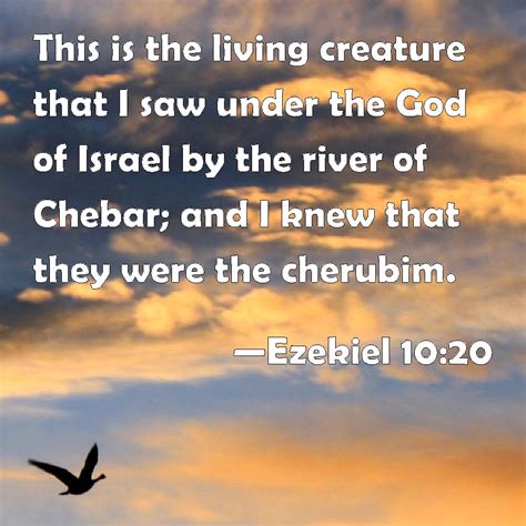 Ezekiel 10:20 This is the living creature that I saw under the God of ...