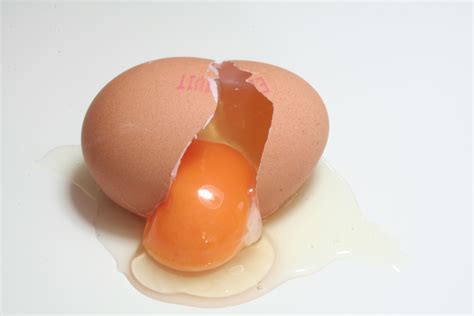 What Does Your Egg Yolk Mean - Jaemie Sures Blog