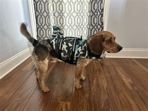 Beagle crew got new life vests 🤣 : r/beagles
