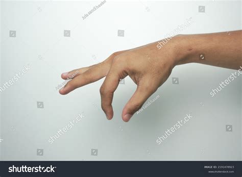 hand picking  isolated  white stock photo