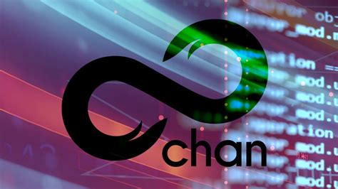 8chan: Where are users going now? - BBC News