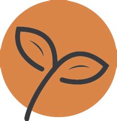 2024 Sustainable Beef Research Roadmap Workshop 