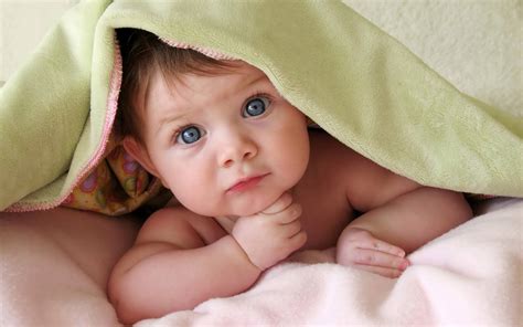 Download Baby Photography Infant Under A Blanket Wallpaper | Wallpapers.com