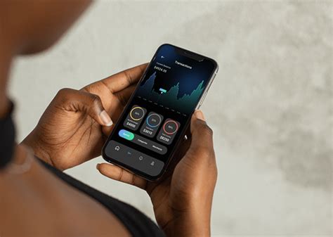 app  track  finances  behance