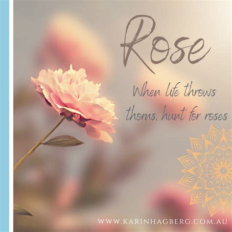 Experience the Beauty and Luxurious Benefits of Rose Essential Oils