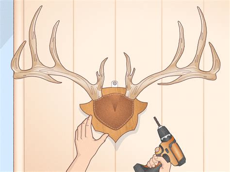 How to Mount Antlers: 13 Steps (with Pictures) - wikiHow