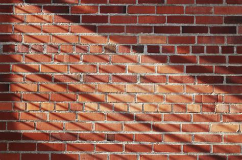 70,000+ Best Wall Photos · 100% Free Download · Pexels Stock Photos
