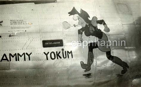 Named17 (Live to Mammy Yokum) - EVERYTHING B-24