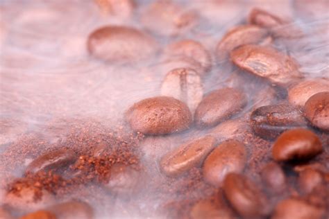 Free photo: coffee beans - Abstract, Photography, Large - Free Download
