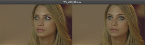 Snapshot View and Snapshot browser 