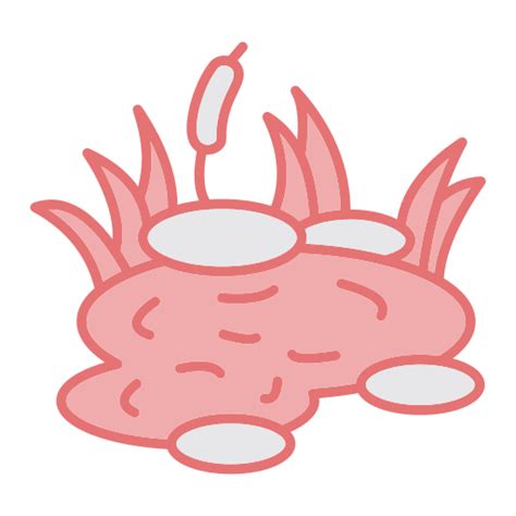 Pond - Free nature icons