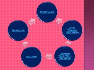 senaman   mengandung