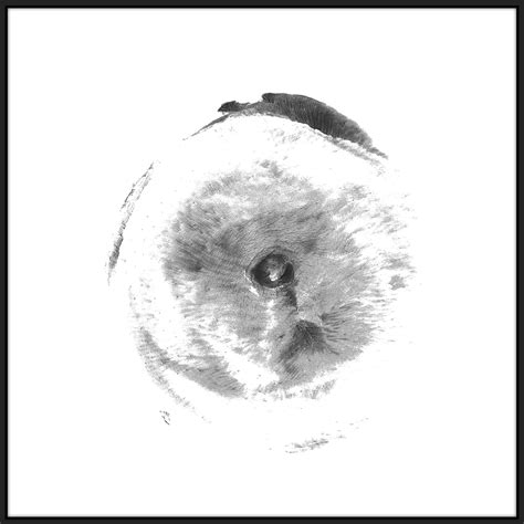 Alina – Tittogramm