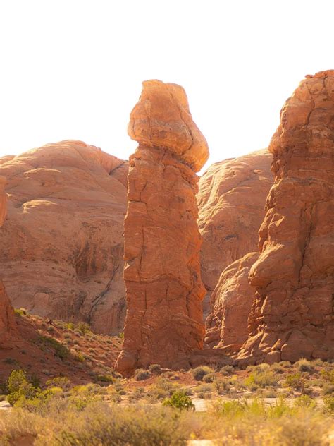 epic dongs   nature rdamnthatsinteresting