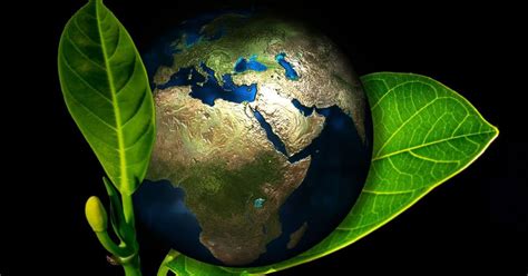 O Que Faz Parte Do Meio Ambiente - Meio Ambiente: o que é, resumo, importância e preservação - Significados