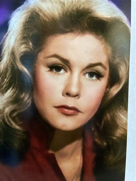 Elizabeth Montgomery Bewitched Hollywood Portrait 4x6” Color Photo | eBay in 2022 | Elizabeth ...