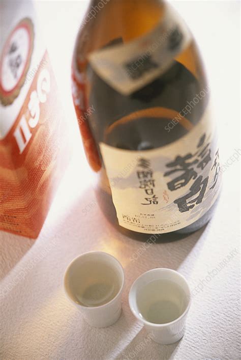 bottle  japanese rice wine stock image  science photo