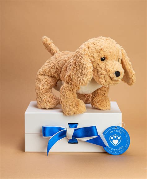 Steiff Goldendoodle Soft Toy | Cuddly Dog | Say it Softly, Send a Cuddly