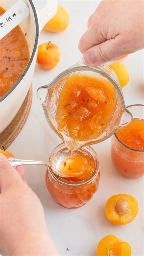 Kitten and the Bear | Toronto ON