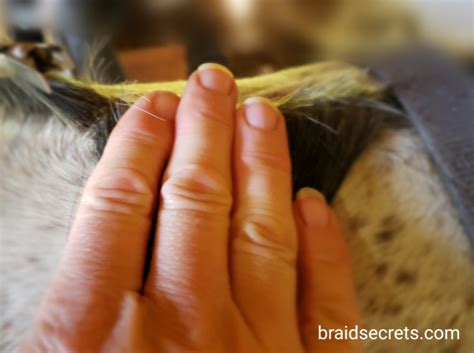 dressage-braid-hair-sectioning - Braid Secrets