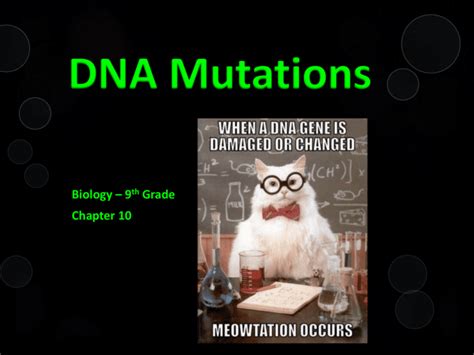 DNA Mutations