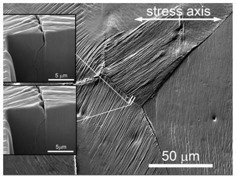 Role of Persistent Slip Bands and Persistent Slip Markings in Fatigue
