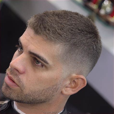 cortes de pelo  calvos