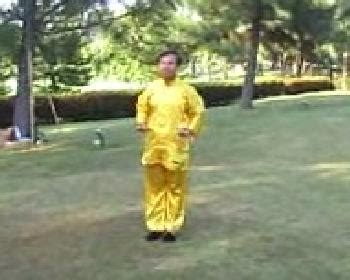 kungfu set   pictures tiger crane set