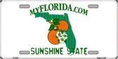 Florida Blank License Plate